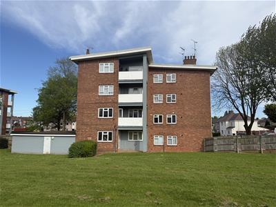 Picture 15